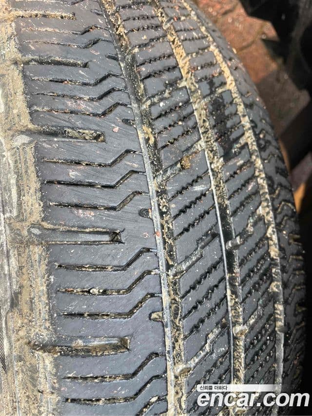 Ford 트랜짓, 2021 19