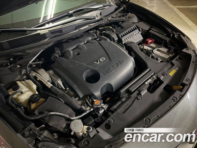 Nissan 맥시마 (A36) Platinum, 2017 6