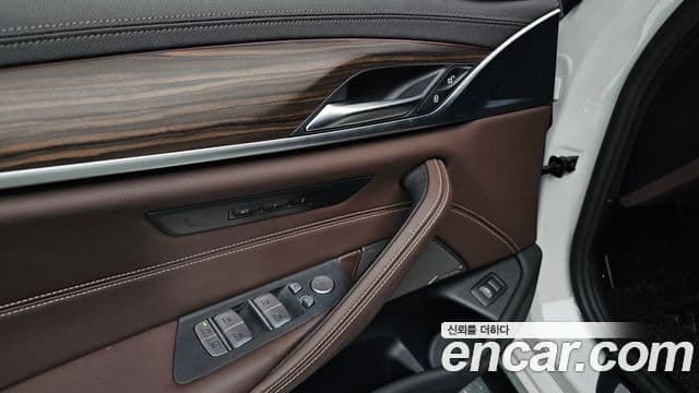 BMW 5시리즈 (G30) Luxury, 2022 18