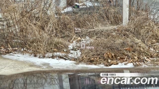 Hyundai Palisade Prestige, 2020 13