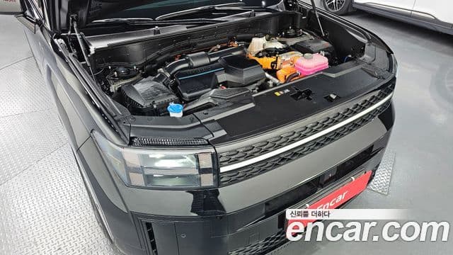 Hyundai Santa Fe (MX5) Calligraphy, 2024 6