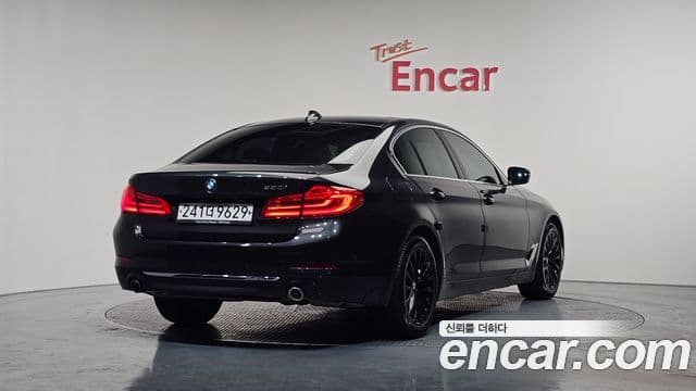 BMW 5시리즈 (G30) 530i Luxury Plus, 2020 2