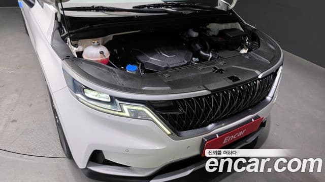 Kia Carnival 4세대 Prestige, 2021 6