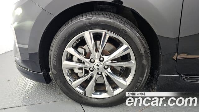 Kia The / новый New Carnival President, 2019 все фото