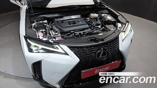 Lexus UX300h 2.0 F-Sport 2WD, 2025 6