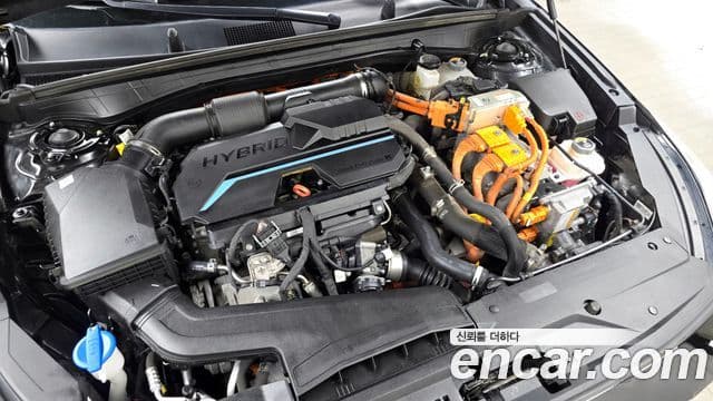 Kia K8 гибрид Noblesse Light, 2022 6