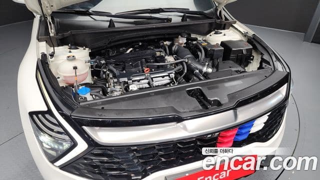 Kia Sportage 5세대 Signature, 2024 6