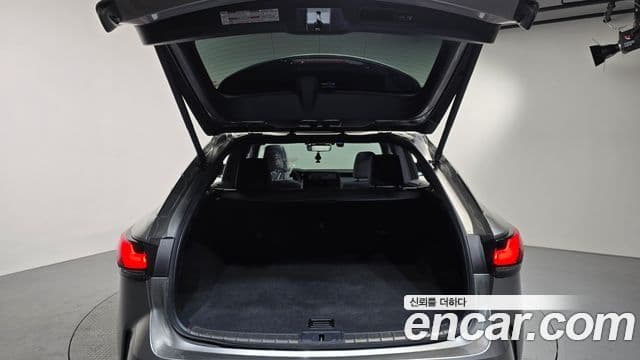 Lexus RX450h+ 5세대 Luxury, 2024 20