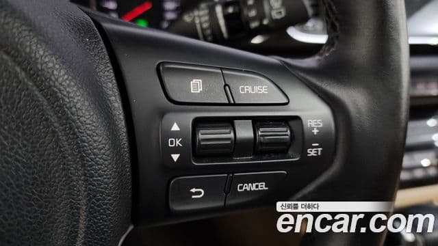 Kia All New Carnival Noblesse, 2017 16