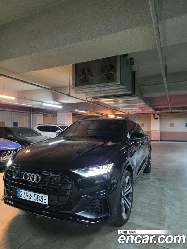 Audi Q8 (4M) Premium, 2023 3