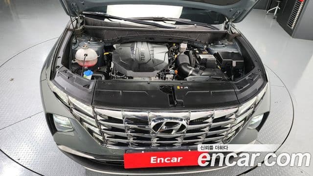 Hyundai Tucson (NX4) Inspiration, 2023 6