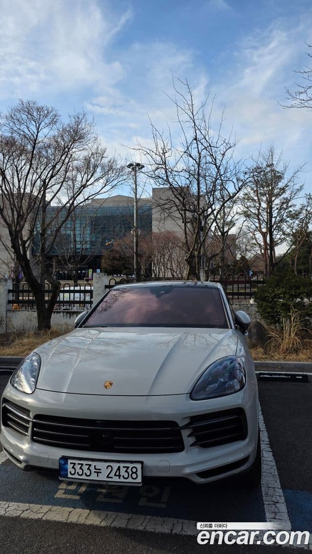 Porsche Cayenne (PO536) 3.0 купе Platinum Edition, 2023 3