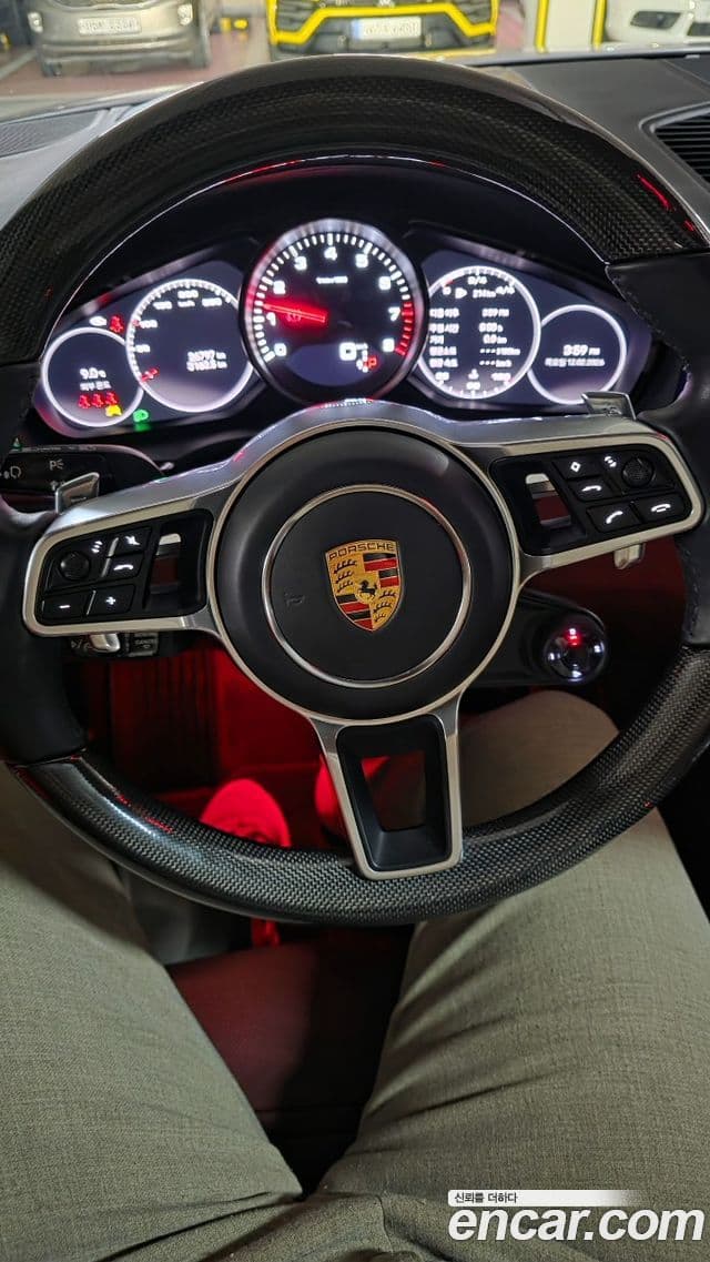 Porsche Cayenne (PO536) 3.0 купе Platinum Edition, 2023 16