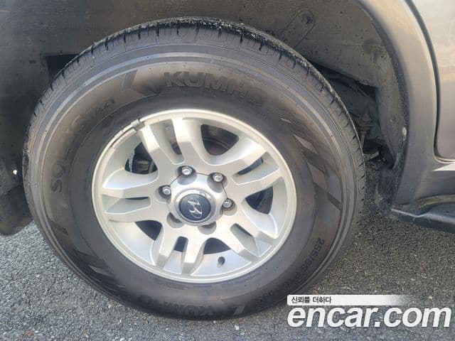 Hyundai 테라칸 люксовая версия, 2004 19