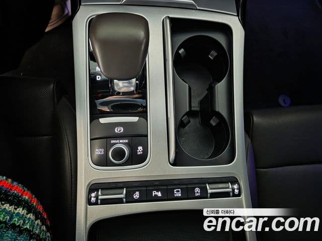 Kia 스팅어 Platinum, 2019 16