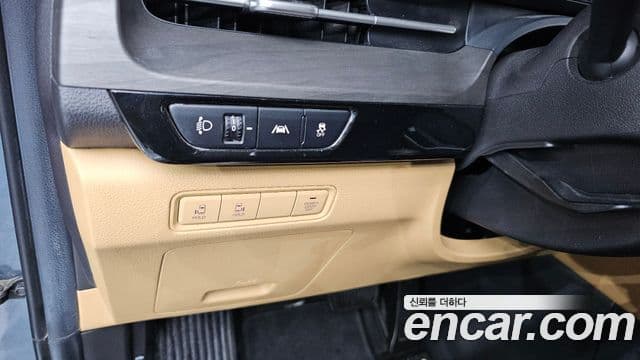 Kia Carnival 4세대 Prestige, 2021 14
