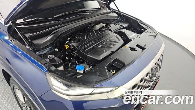 Hyundai Santa Fe TM Inspiration, 2019 6