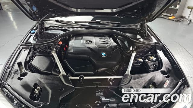 BMW 5시리즈 (G30) Luxury, 2020 6