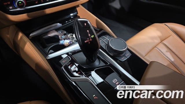 BMW 5시리즈 (G30) Luxury, 2020 9