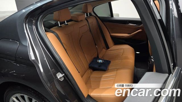 BMW 5시리즈 (G30) Luxury, 2020 11