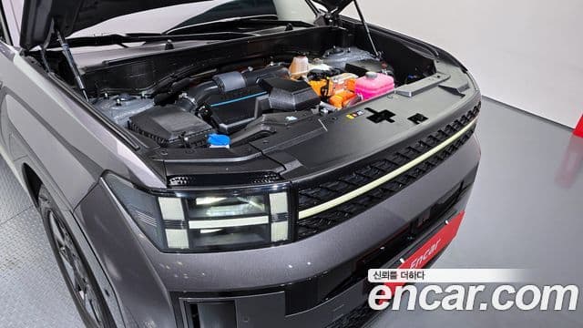 Hyundai Santa Fe (MX5) Calligraphy, 2024 6