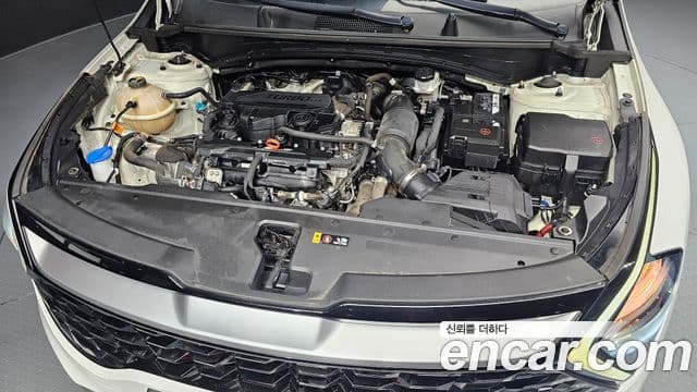 Kia Sportage 5세대 Prestige, 2022 6