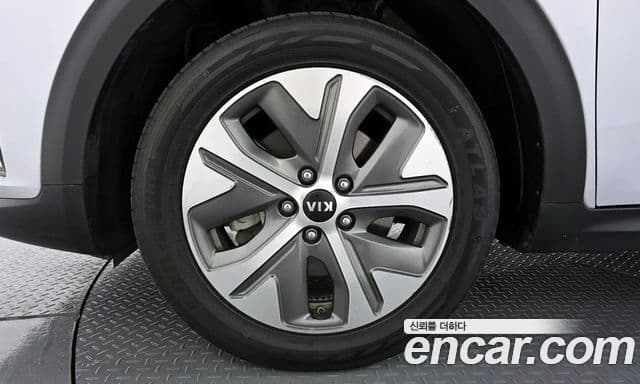 Kia Niro EV таксомоторный тип, 2020 все фото