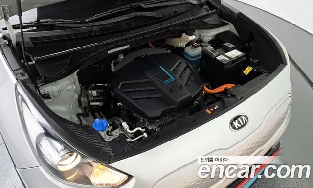 Kia Niro EV таксомоторный тип, 2020 6