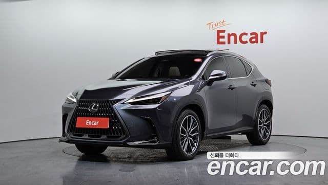 Lexus NX350h 2세대 Luxury, 2025 1