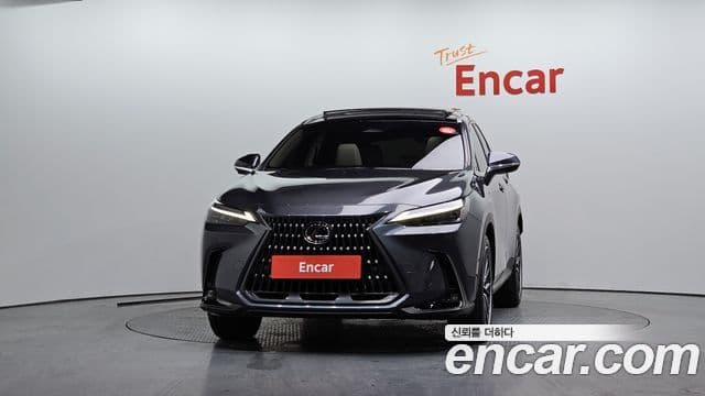 Lexus NX350h 2세대 Luxury, 2025 3