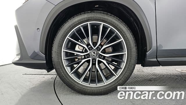 Lexus NX350h 2세대 Luxury, 2025 все фото
