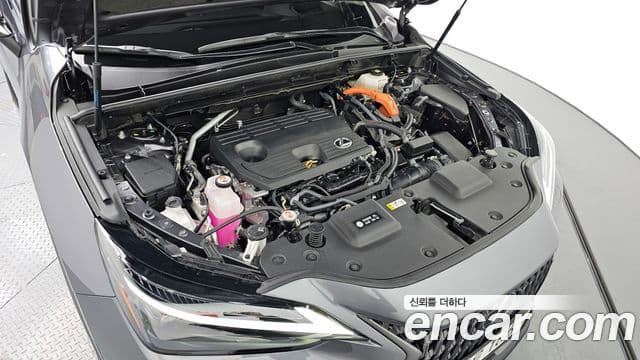 Lexus NX350h 2세대 Luxury, 2025 6