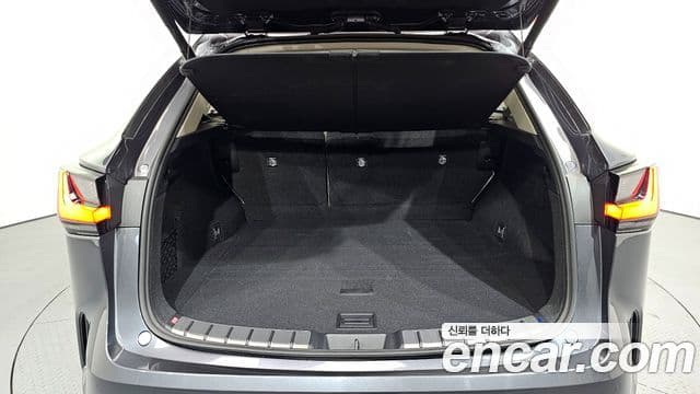 Lexus NX350h 2세대 Luxury, 2025 20