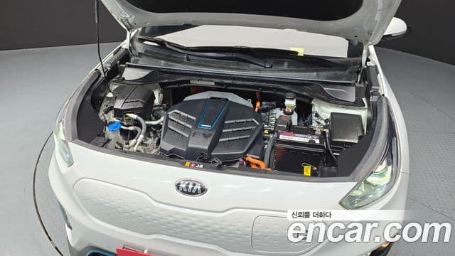 Kia Niro EV Noblesse, 2021 6