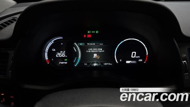 Kia Niro EV Noblesse, 2021 8