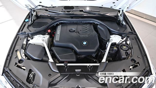 BMW 5시리즈 (G30) Luxury, 2022 6