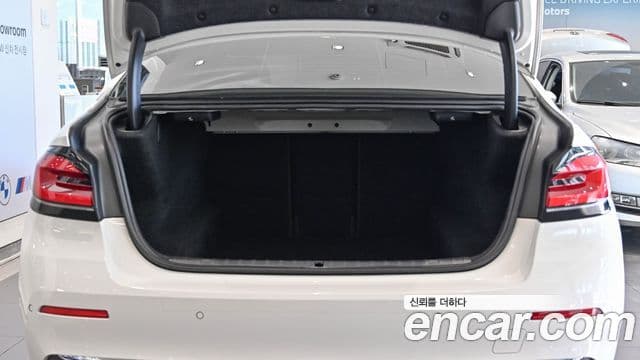 BMW 5시리즈 (G30) Luxury, 2022 7