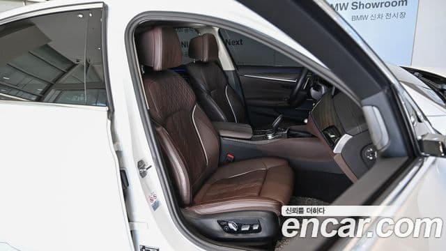 BMW 5시리즈 (G30) Luxury, 2022 13