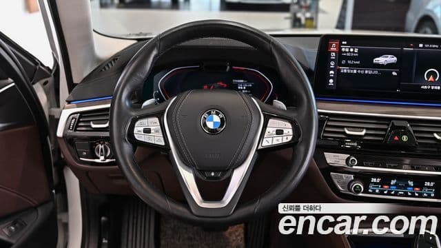 BMW 5시리즈 (G30) Luxury, 2022 16