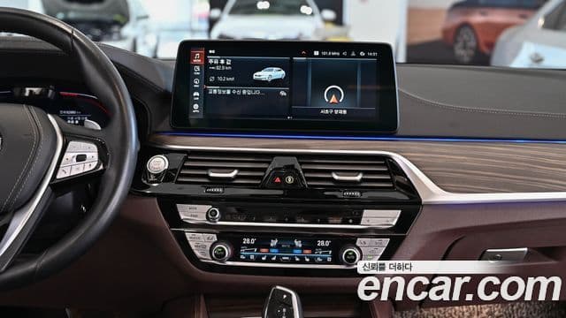 BMW 5시리즈 (G30) Luxury, 2022 18