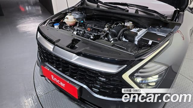 Kia Sportage 5세대 Signature, 2022 6