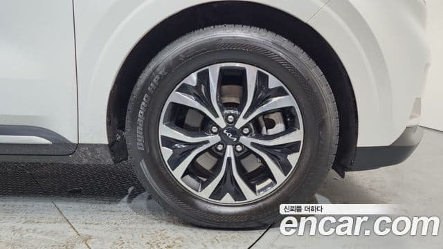 Kia Carnival 4세대 Noblesse, 2023 все фото