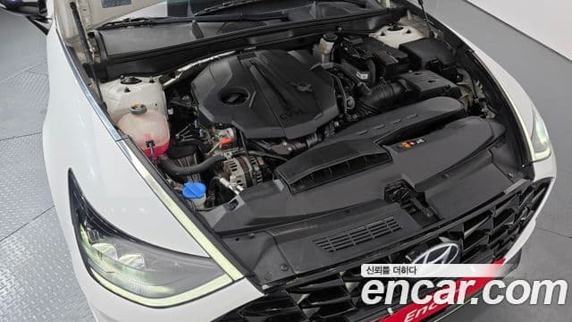 Hyundai Sonata (DN8) Modern, 2022 6