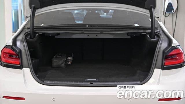 BMW 5시리즈 (G30) Luxury, 2022 7