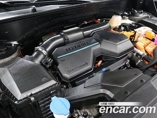 Hyundai Santa Fe (MX5) Calligraphy, 2024 19