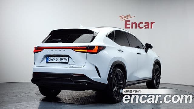 Lexus NX350h 2세대 Premium, 2026 2
