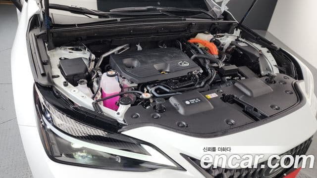 Lexus NX350h 2세대 Premium, 2026 6