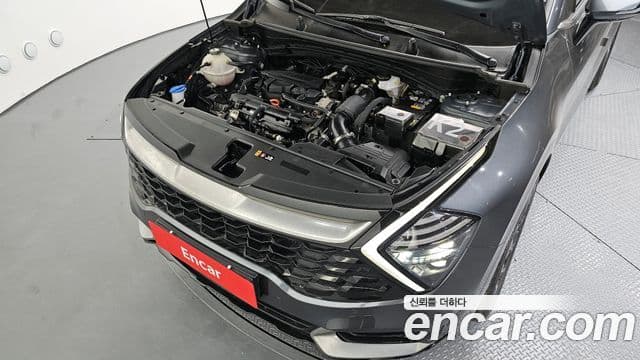 Kia Sportage 5세대 Signature, 2023 6