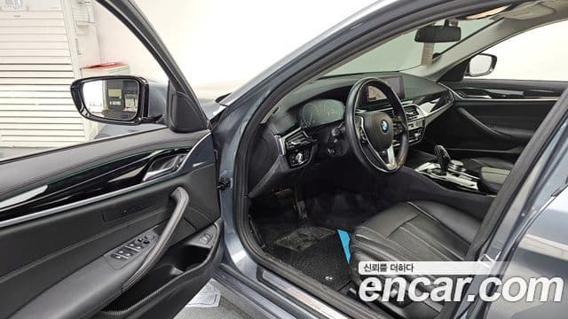 BMW 5시리즈 (G30) Luxury, 2019 10