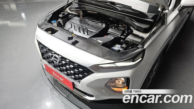 Hyundai Santa Fe TM Premium, 2019 6